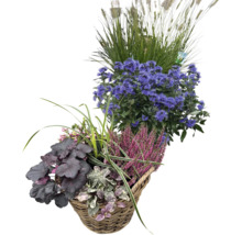 Höstig växtkorg med olika blommor, gräs och blommande växter i en flätad korg för utomhusbruk.