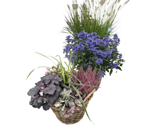Höstig växtkorg med olika blommor, gräs och blommande växter i en flätad korg för utomhusbruk.