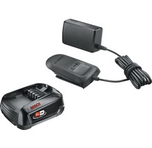 Bosch batteri, laddare och nätaggregat