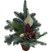 Juldekoration i en kruka med grangrenar, en kotte och dekorativa element av naturmaterial.