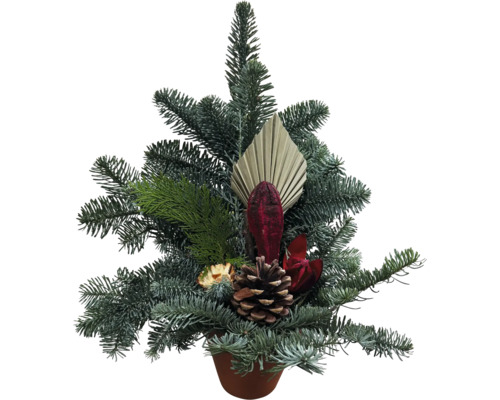 Juldekoration i en kruka med grangrenar, en kotte och dekorativa element av naturmaterial.