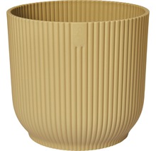 Ribbad blomkruka