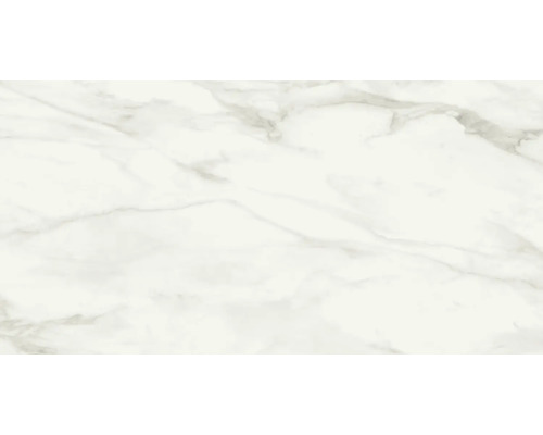 Klinker Eterna white vit grå blank marmoroptik 60x120x0,9 cm Keramisk platta med marmorlook