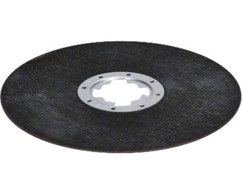 Slipskiva med metallinsats