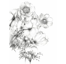 Svartvit blyertsteckning av blommor