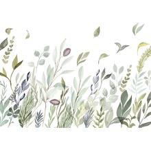 Illustration av olika typer av löv på vit bakgrund