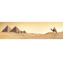 Panoramautsikt över pyramiderna i Giza med en beduin på en kamel