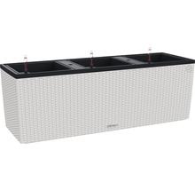 Självvattnande blomlåda LECHUZA Trio Cottage 30 plast 100x32x34cm ljusgrå inkl. substrat