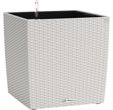 Självvattnande blomkruka LECHUZA Cube Cottage plast 50x50x50cm ljusgrå inkl. substrat
