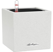 Vit Lechuza blomlåda med vattennivåindikator