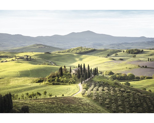 Canvastavla Toscana 80x120cm