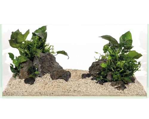 Akvarium med stenar, sand och växter