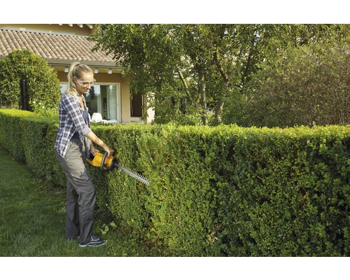 Kvinna klipper häck med en häcksax i trädgården.