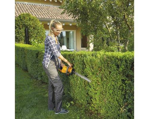 Kvinna klipper häck med häcksax i trädgården.