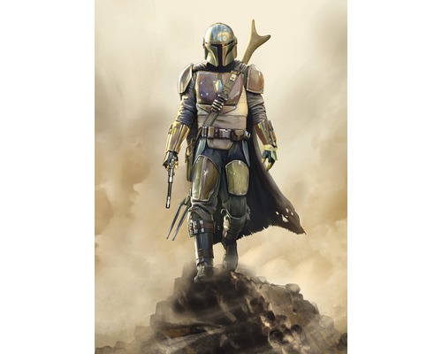 Fototapet KOMAR Mandalorian Hunter 200x280cm