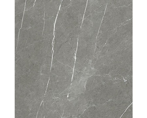 Kakel med marmorutseende