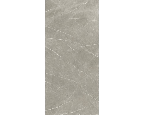 Grått golv klinker med marmorlook