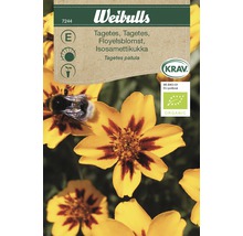 Weibulls Tagetes fröpaket med ringblommor och Krav-ekologiska märkning