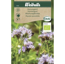 Weibulls Honungsört fröpaket för ängsblommor