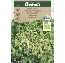 Weibulls Sallad ''Salad Bowl'' fröförpackning