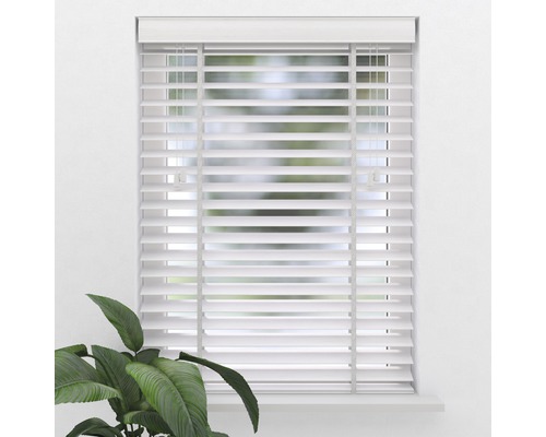 Fönster med vita persienner för ljusreglering