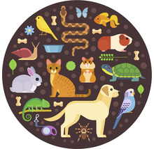 Illustration av olika husdjur som hund, katt, fågel, reptil och gnagare