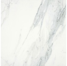 Vit kakelplatta med marmorutseende