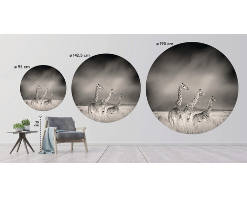 Väggbild med giraffmotiv i tre olika storlekar