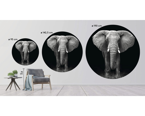 Väggdekoration med elefantmotiv i tre storlekar