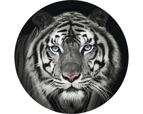 Fototapet SPECIAL DECORATION non-woven Tiger svartvit Ø142,5cm