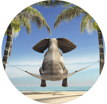 Dekorativ bild av en elefant i en hängmatta mellan palmer på stranden