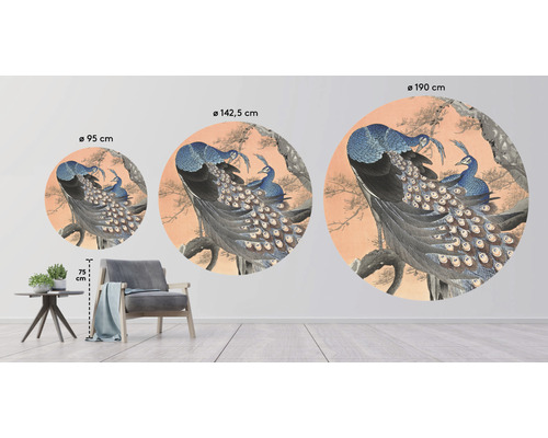 Dekorativa väggcirklar med påfågelmönster i olika storlekar som väggdesignidé