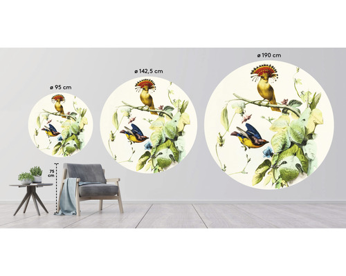 Illustration av väggdekaler i olika storlekar med fågelmotiv