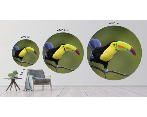 Väggdekal med tukan i olika storlekar i ett rum