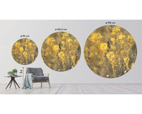 Tre runda väggmålningar med växtmotiv i olika storlekar på en vägg
