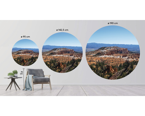 Tre runda väggbilder med en landskapsbild i olika storlekar ovanför en fåtölj och ett sidobord