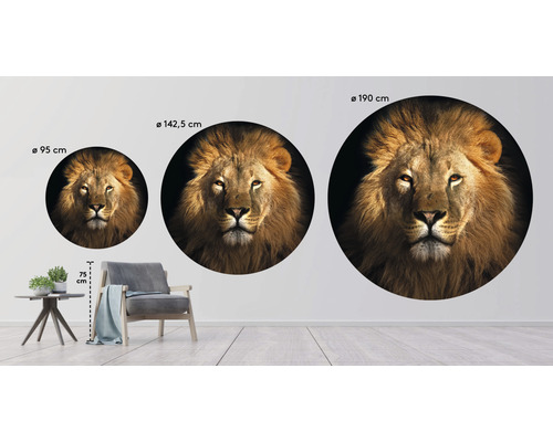 Tre runda väggdekorationer med ett lejonhuvud i storlekarna 95 cm, 142,5 cm och 190 cm