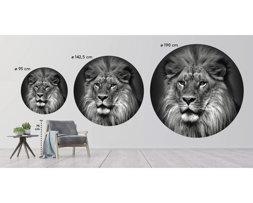Väggdekal med lejonmotiv i tre storlekar