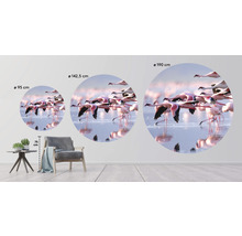 Fototapet SPECIAL DECORATION non-woven Flamingo Ø190cm