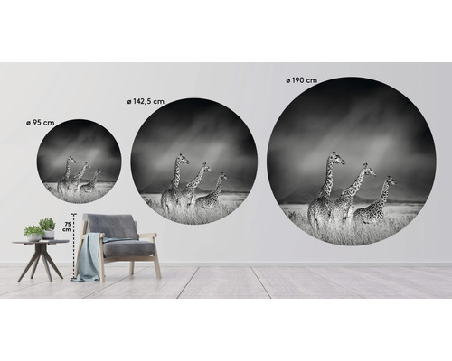 Väggbilder med giraffmotiv i tre olika storlekar: 95 cm, 142,5 cm och 190 cm.