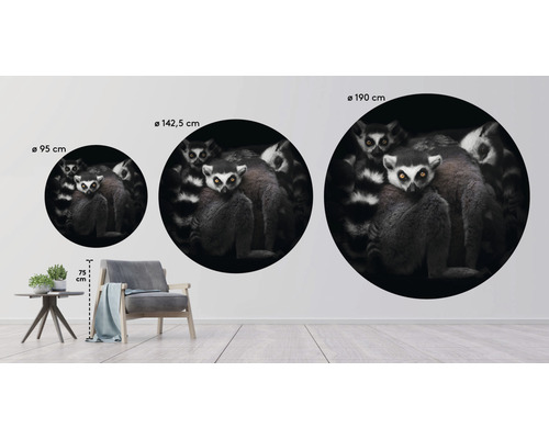 Tre runda väggdekorationer med lemurmotiv i olika storlekar på en vägg, storlekar från 95 cm till 190 cm