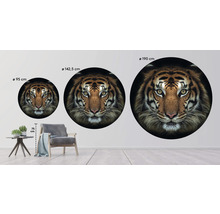 Fototapet SPECIAL DECORATION non-woven Tiger Ø190cm