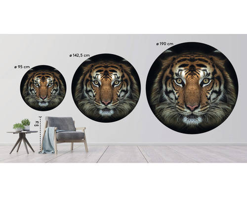 Tre runda tigerväggmålningar i olika storlekar