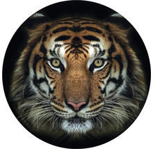 Fototapet SPECIAL DECORATION non-woven Tiger Ø190cm