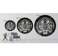 Fototapet SPECIAL DECORATION non-woven Tiger svartvit Ø190cm