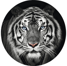 Fototapet SPECIAL DECORATION non-woven Tiger svartvit Ø190cm