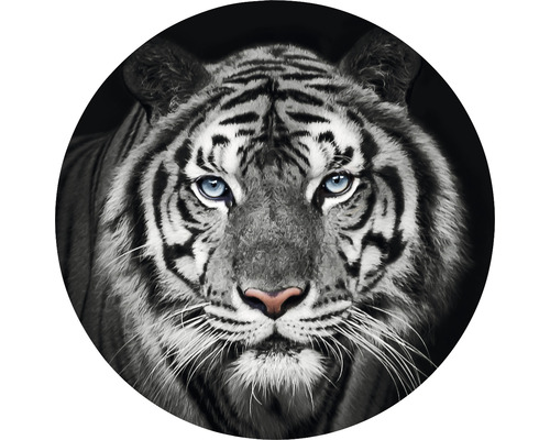 Fototapet SPECIAL DECORATION non-woven Tiger svartvit Ø190cm
