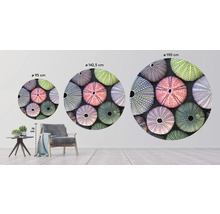 Fototapet SPECIAL DECORATION non-woven Sjöborrar Ø190cm