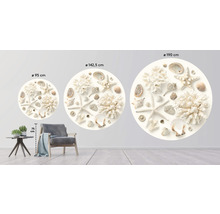 Fototapet SPECIAL DECORATION non-woven Snäckskal Ø190cm