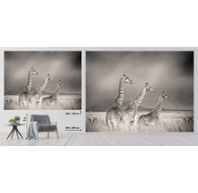 Fototapet med giraffmotiv i stäppdesign
